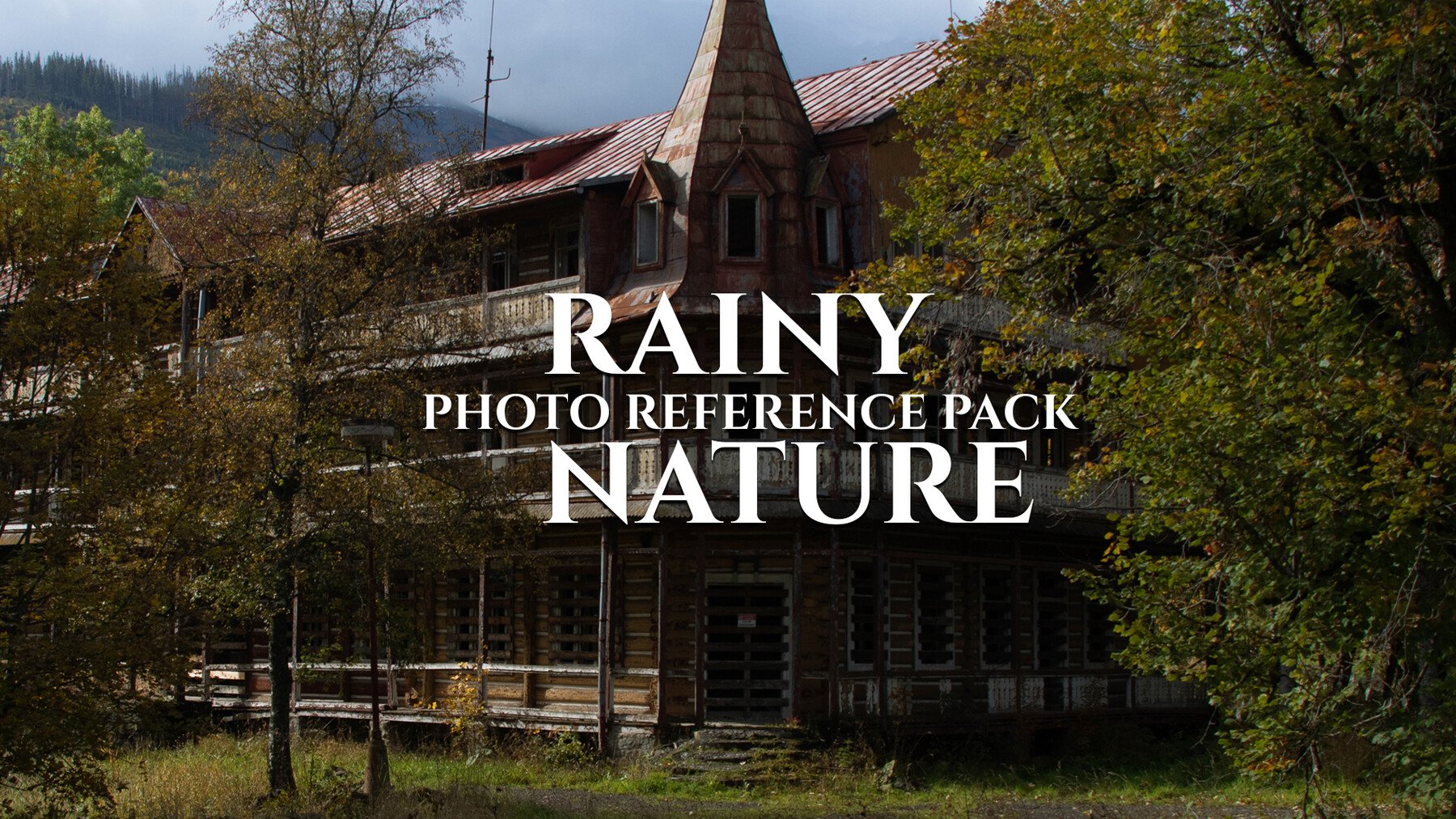 Rainy Nature - Photo Reference Pack For Artists 180 JPEGs