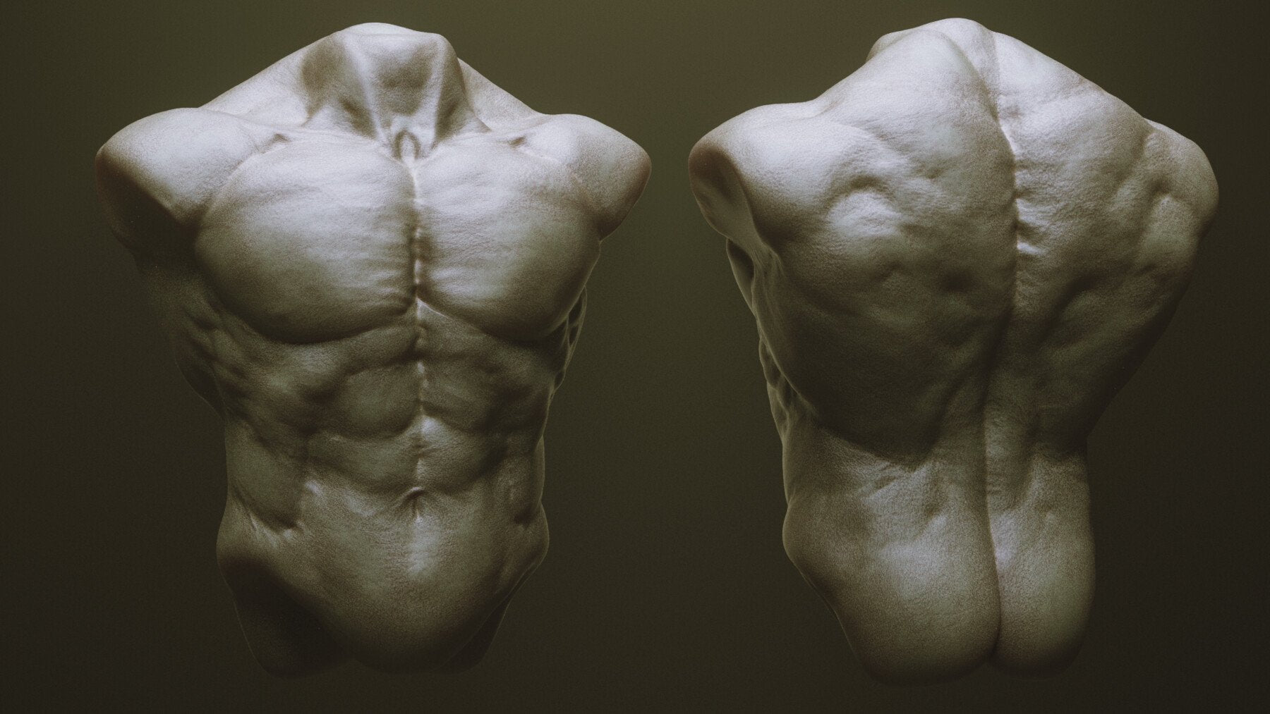 TORSOS - 33 Character & Creature Zbrush Insertmesh Brush