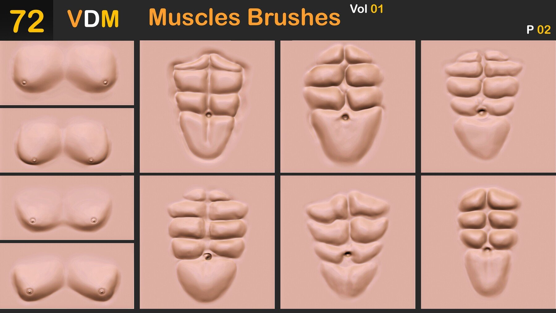 Muscles Brushes ( VDM ) Vol 01