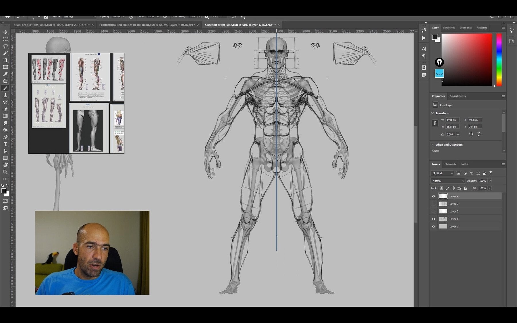 Super Human Anatomy for artists course