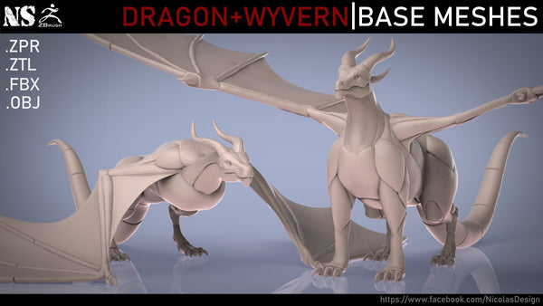 Dragon + Wyvern Base Meshes