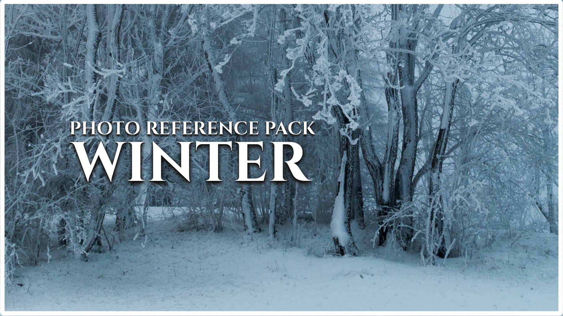 Winter - Reference Photo Pack For Artists 511 JPEGs