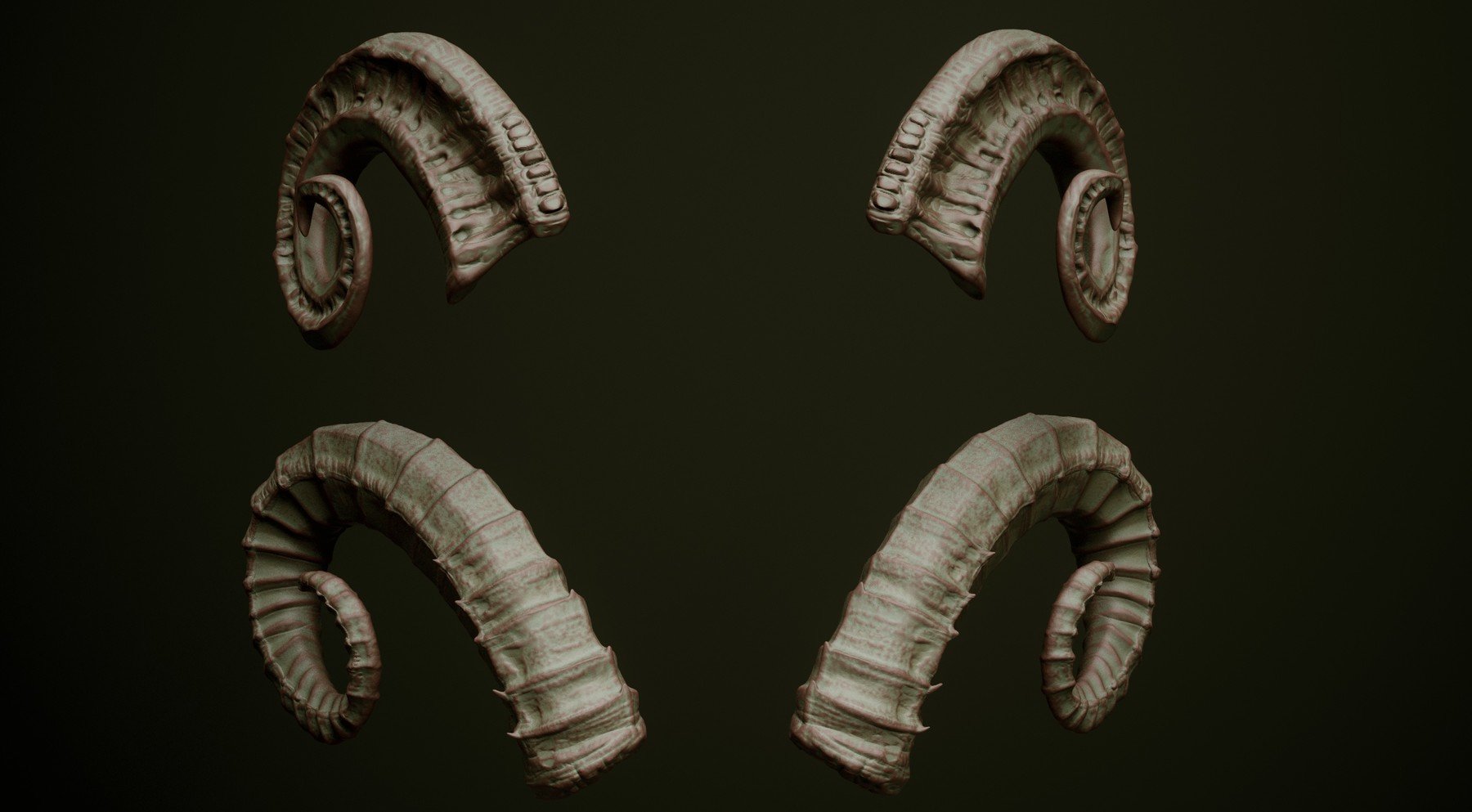 HORNS - 60 Horns, Antlers, Frills & Horn Sockets IMM + VDM