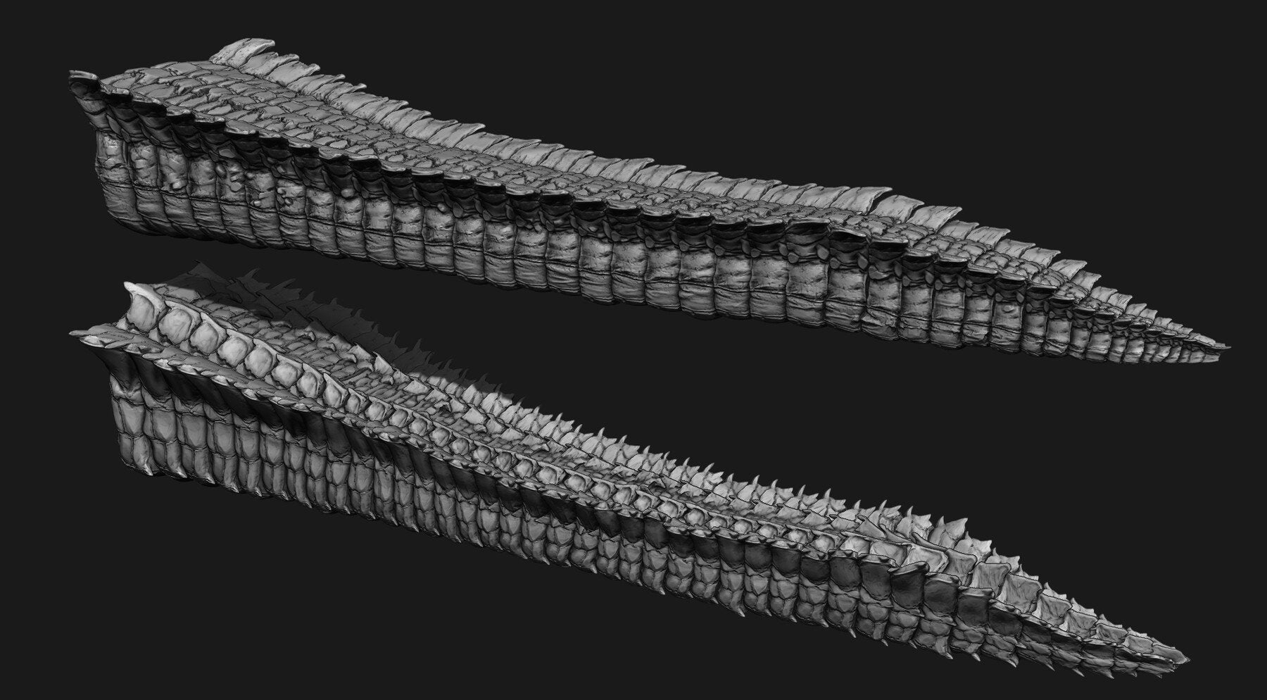 TAILS - 33 Tail Meshes & Curve Brushes