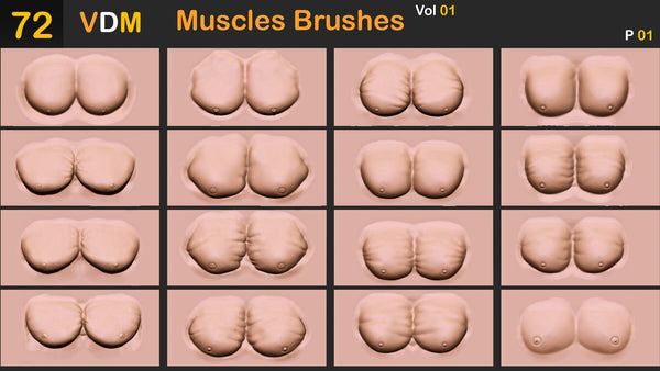 Muscles Brushes ( VDM ) Vol 01