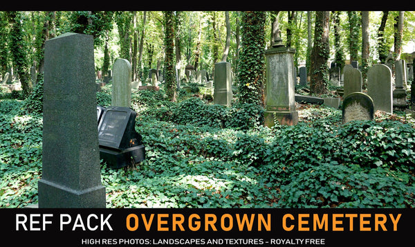 Overgrown Cemetery - 160+ Reference pictures