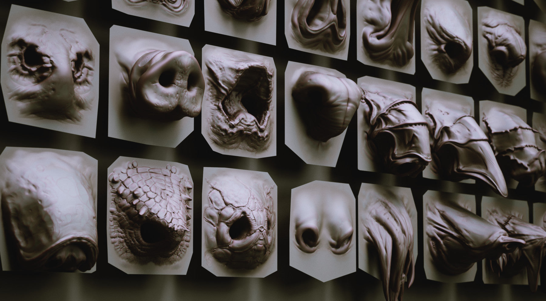 NOSES - 40 ZBrush VDM Nasal Areas