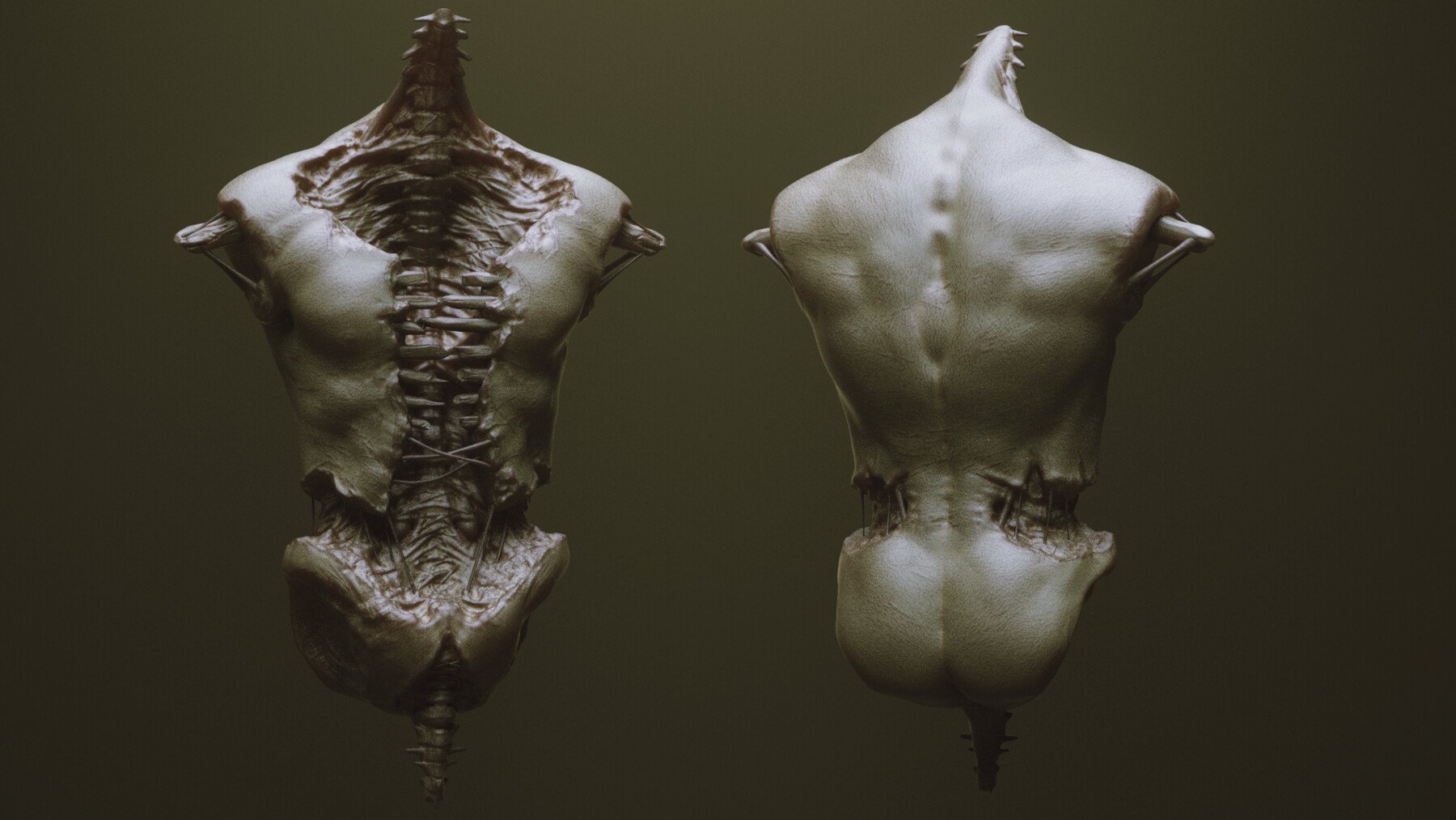 TORSOS - 33 Character & Creature Zbrush Insertmesh Brush