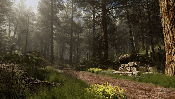 Unreal Complete Scene - Forest Environment