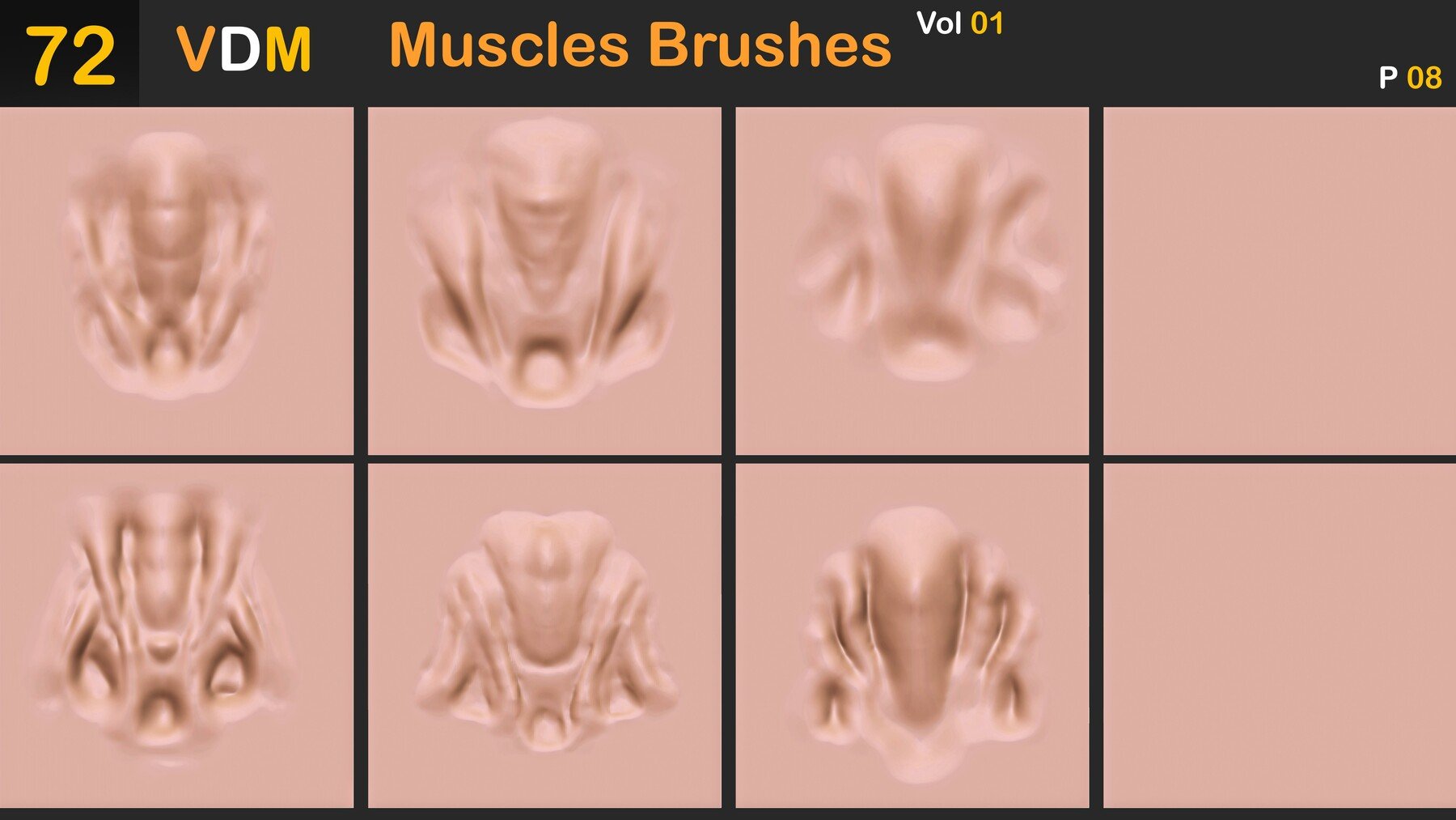 Muscles Brushes ( VDM ) Vol 01