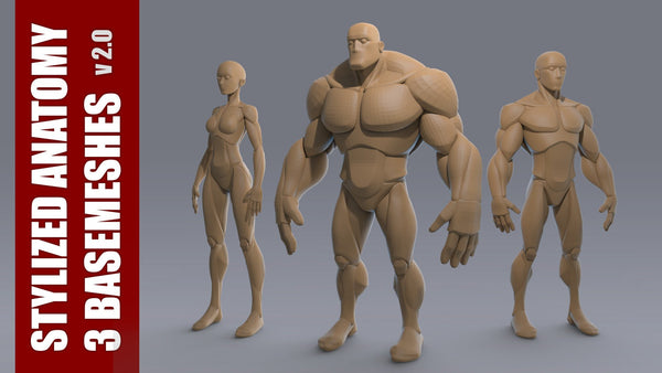 Stylized Anatomy BASEMESHES