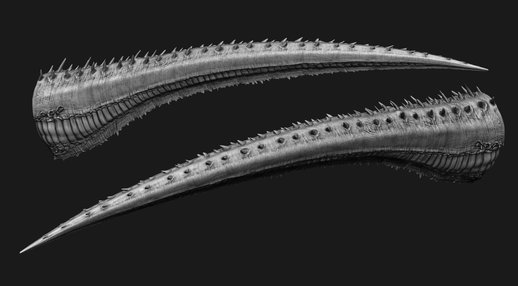 TAILS - 33 Tail Meshes & Curve Brushes