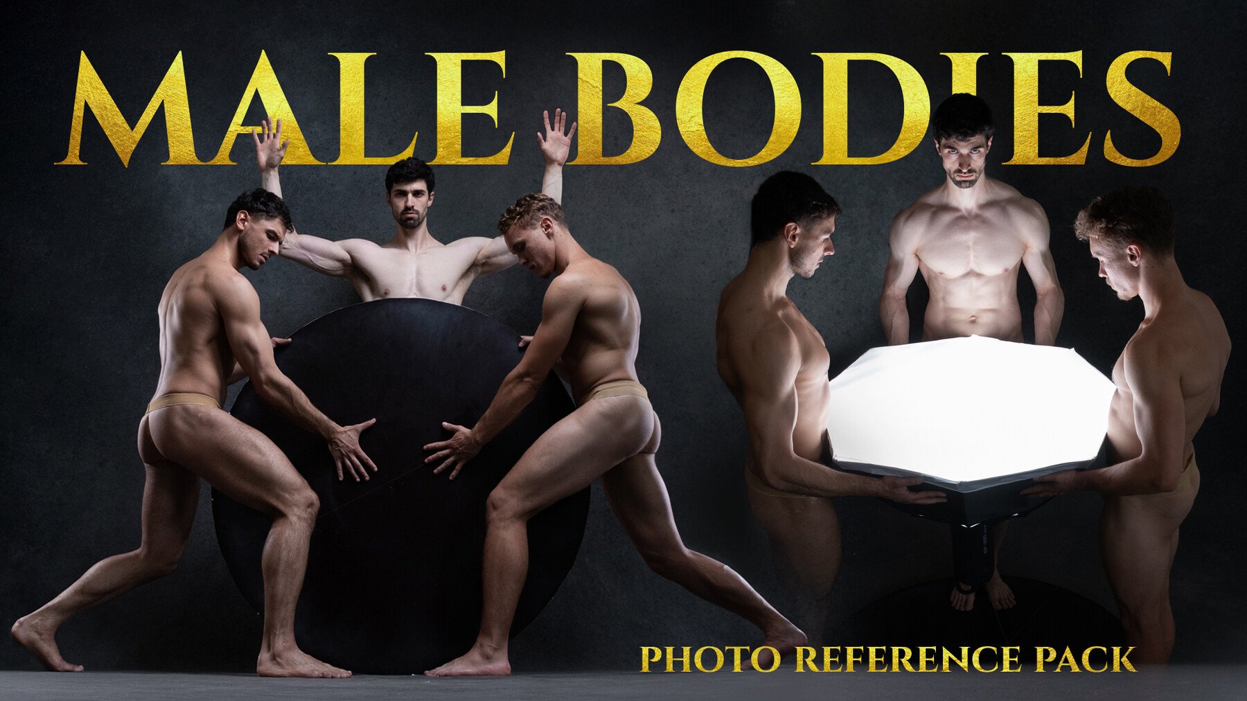 Male Bodies - Reference Photo Pack For Artists 163 JPEGs