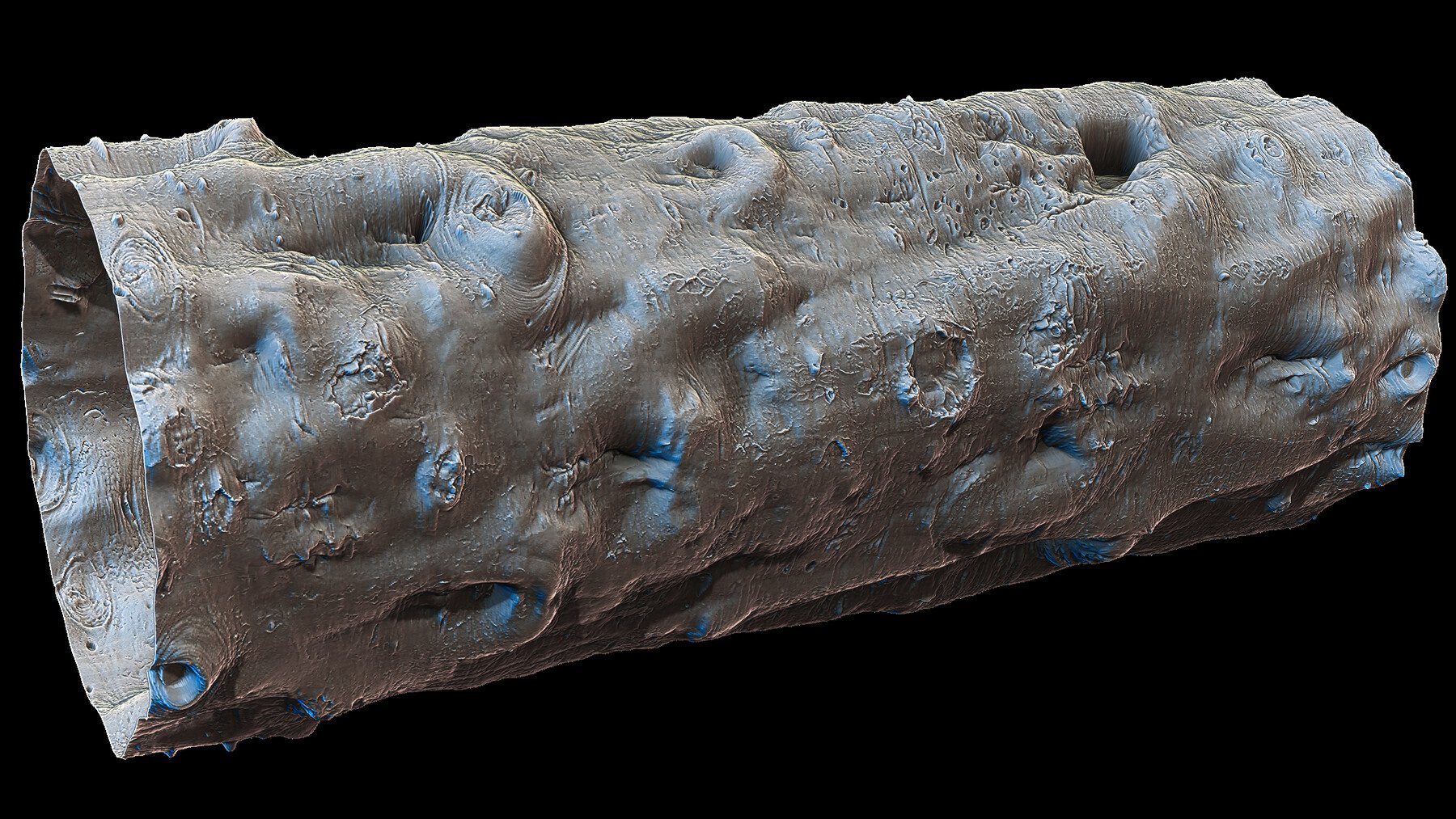 Ultra HQ Tree Bark Seamless Sculpt Zbrush brushes + Alphas (Blender, Substance, etc.) Vol.1