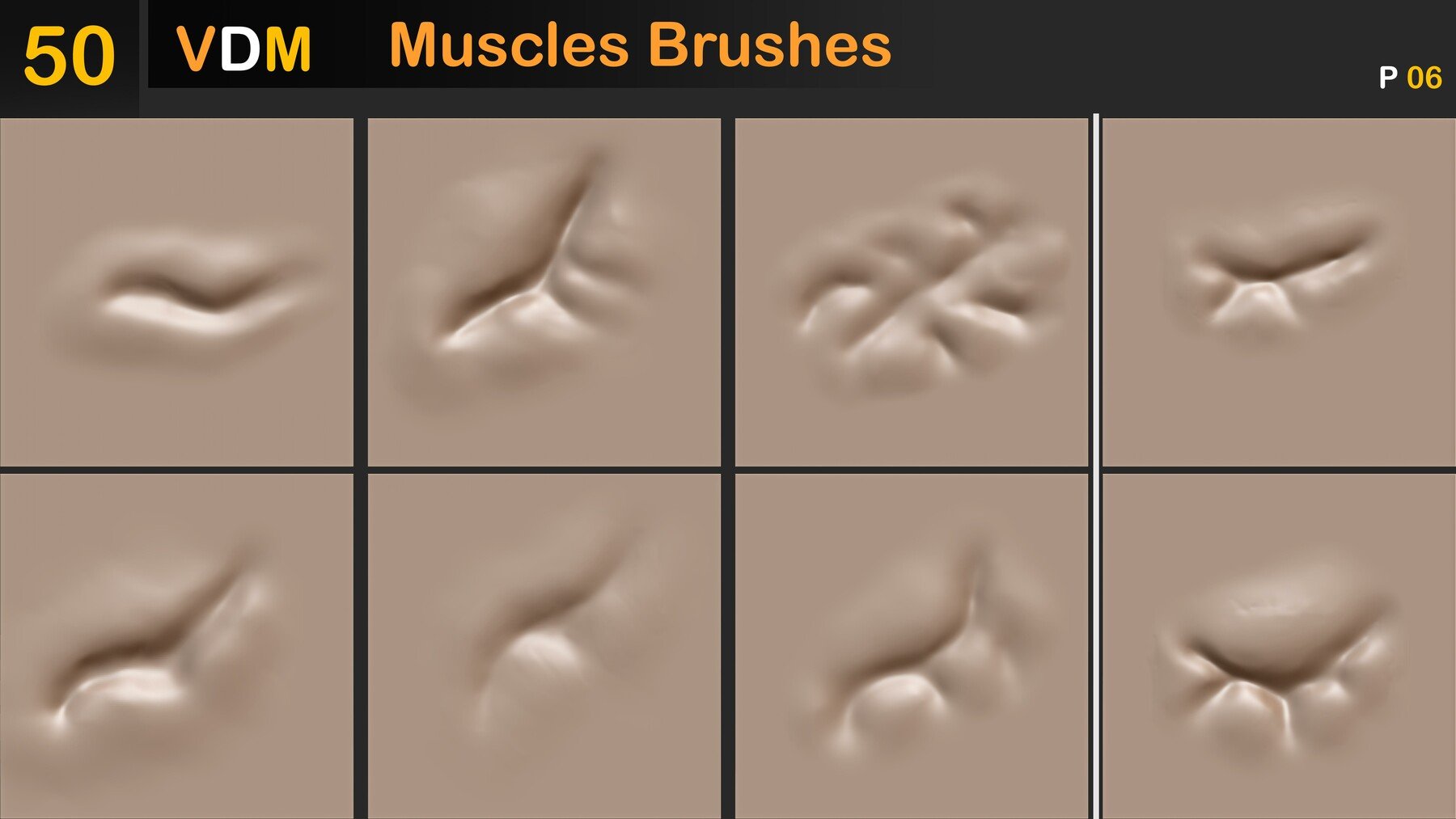 Muscles Brushes ( VDM ) Vol 02