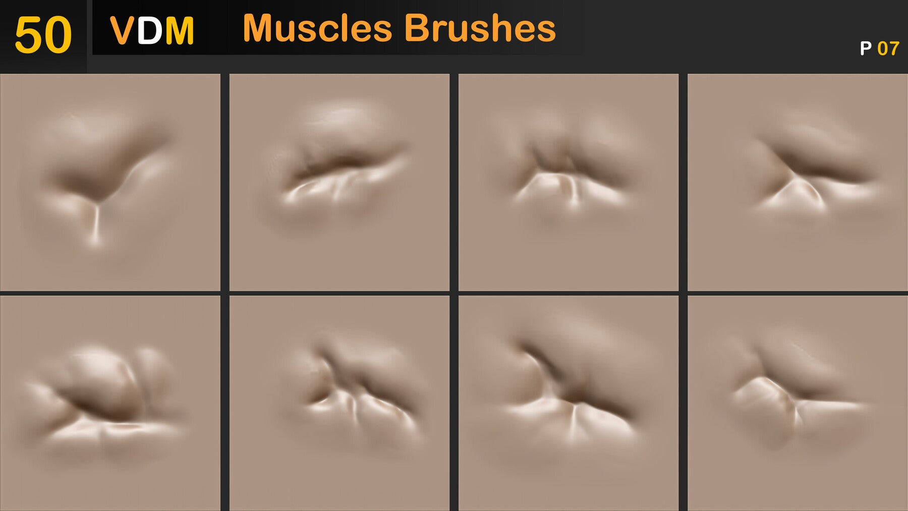 Muscles Brushes ( VDM ) Vol 02