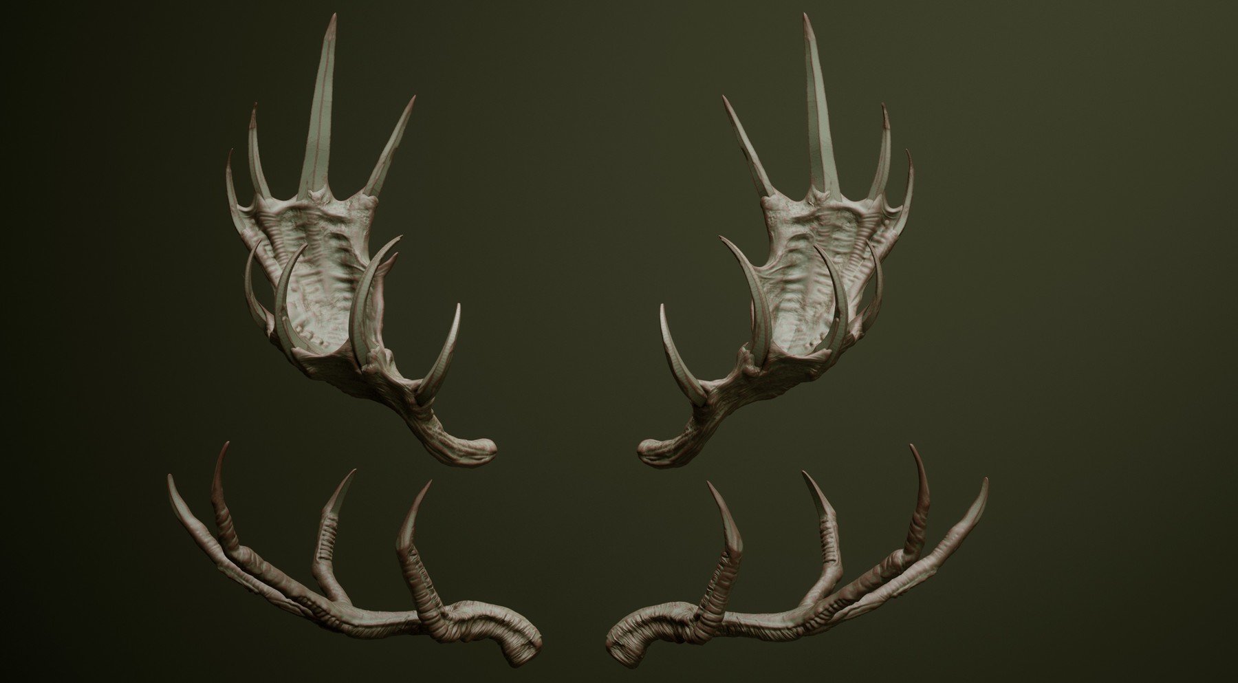 HORNS - 60 Horns, Antlers, Frills & Horn Sockets IMM + VDM