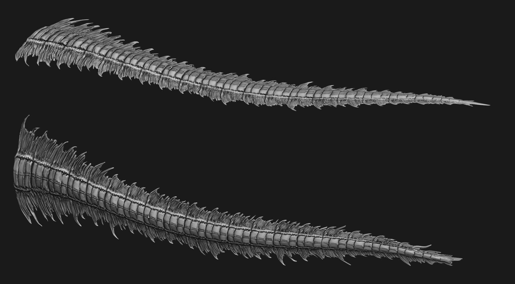 TAILS - 33 Tail Meshes & Curve Brushes