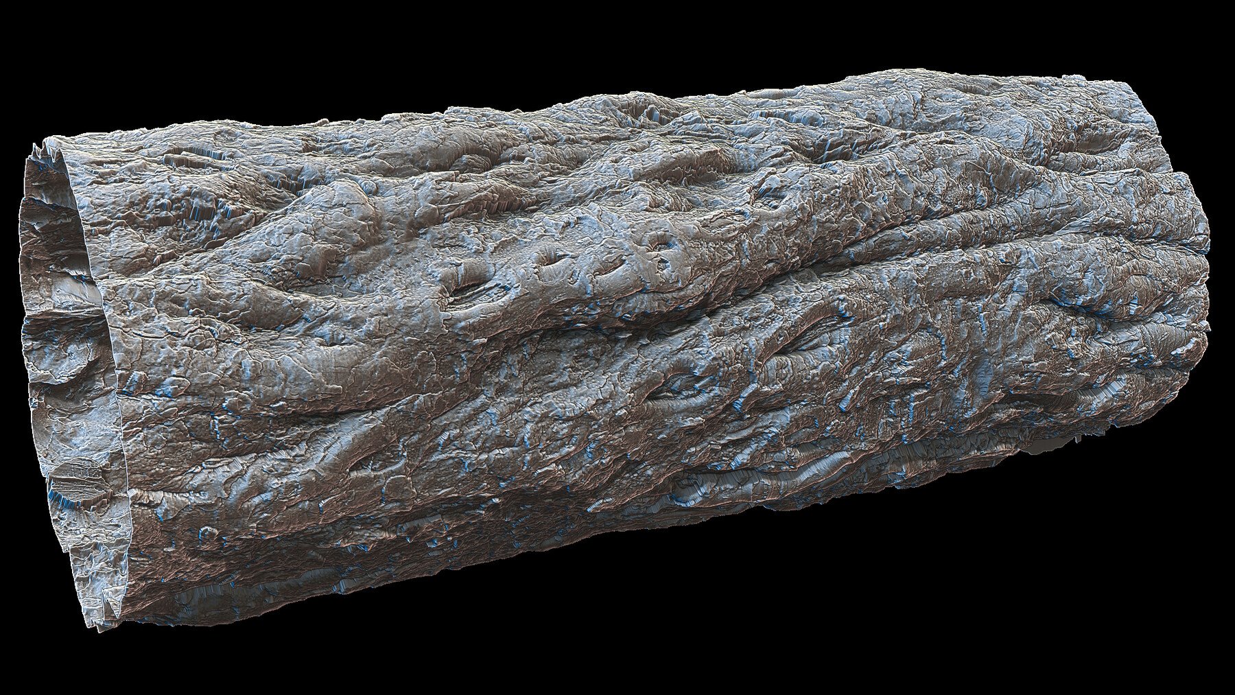 Ultra HQ Tree Bark Seamless Sculpt Zbrush brushes + Alphas (Blender, Substance, etc.) Vol.1