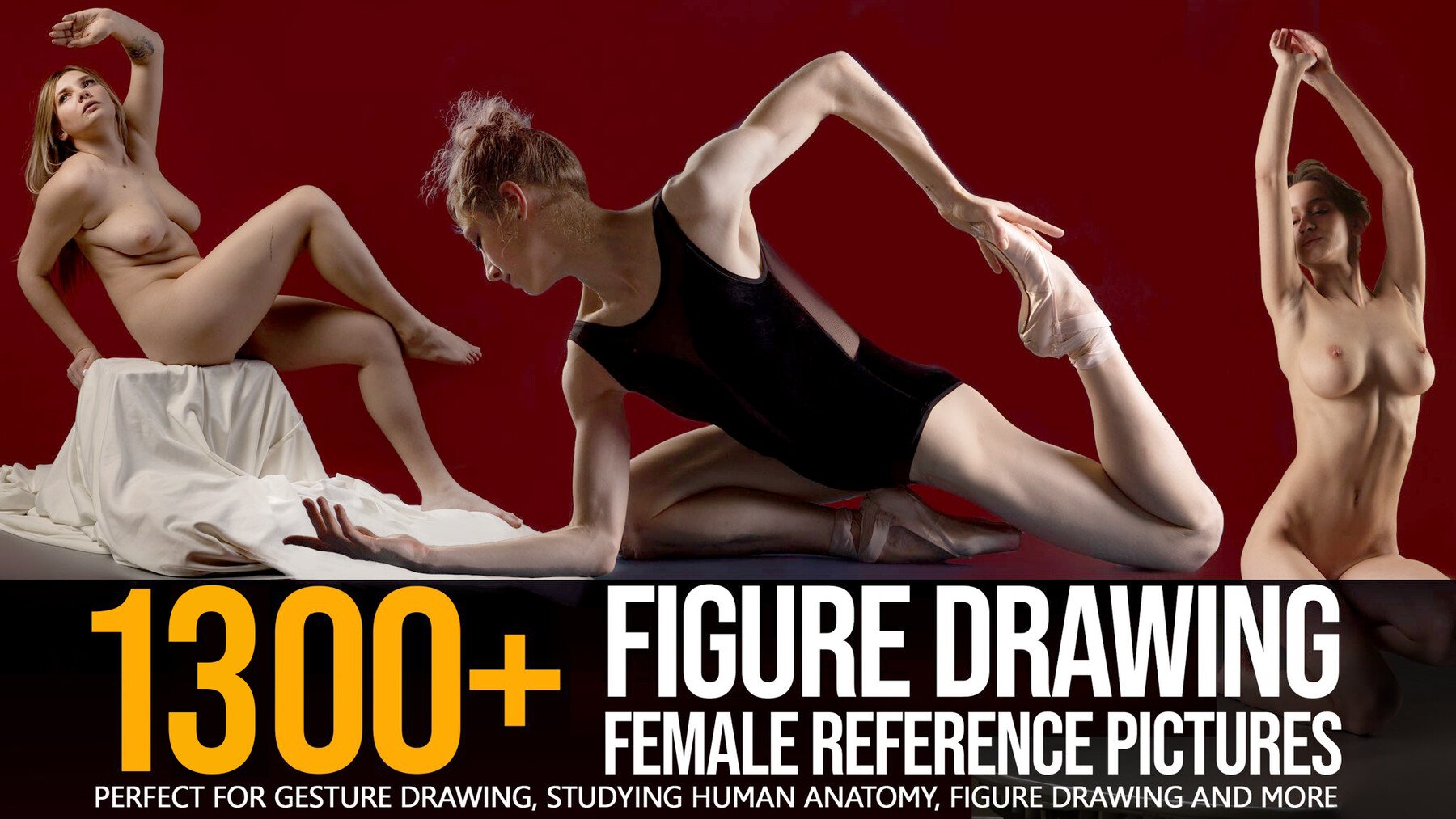 1300+ Figure Drawing Female Reference Pictures