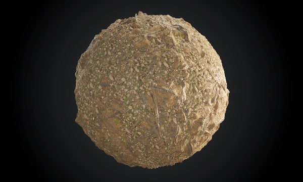 Forest Ground Stone Tree Seamless PBR Texture