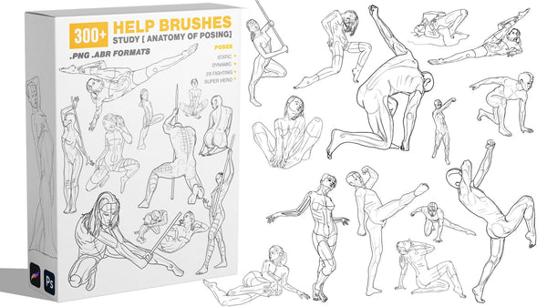 300 HELP BRUSHES vol.2 STUDY [ANATOMY OF POSING]