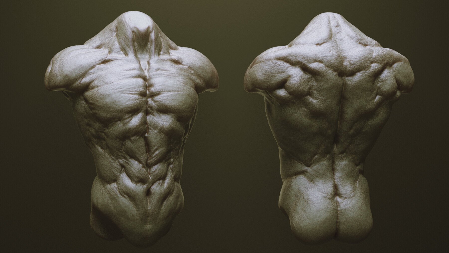 TORSOS - 33 Character & Creature Zbrush Insertmesh Brush