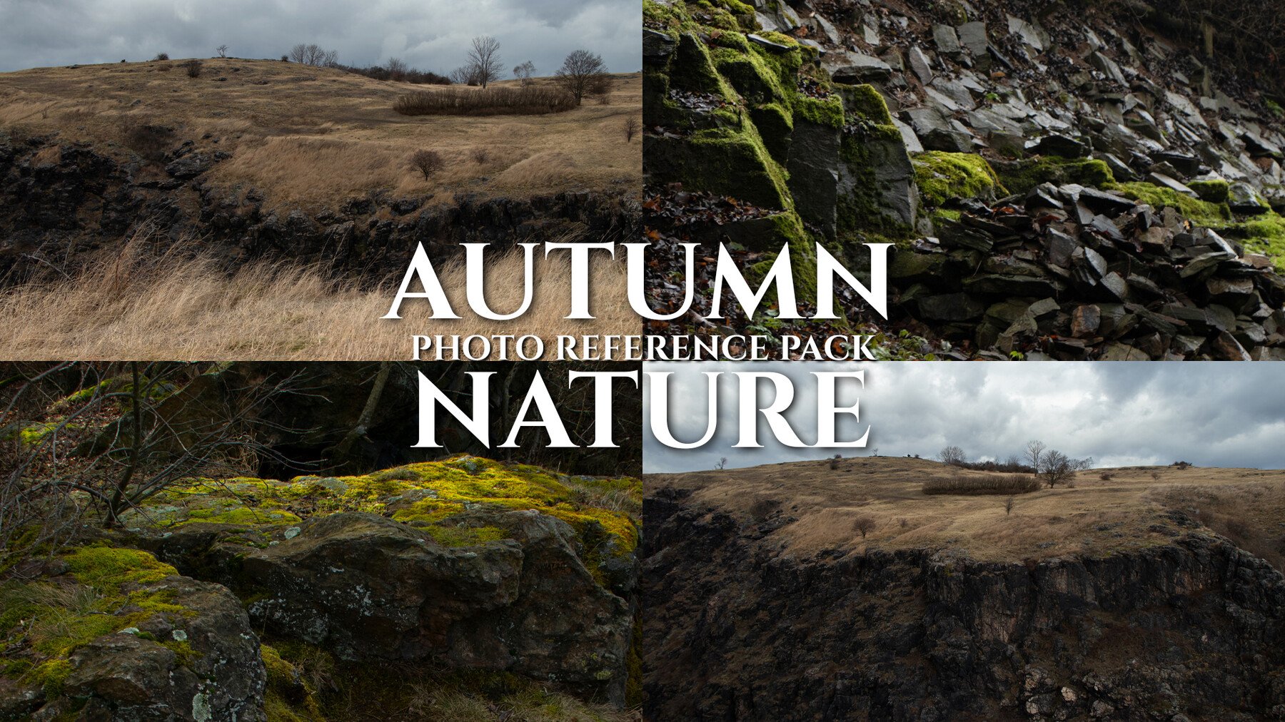 Autumn Nature - Photo Reference Pack 193 JPEGs