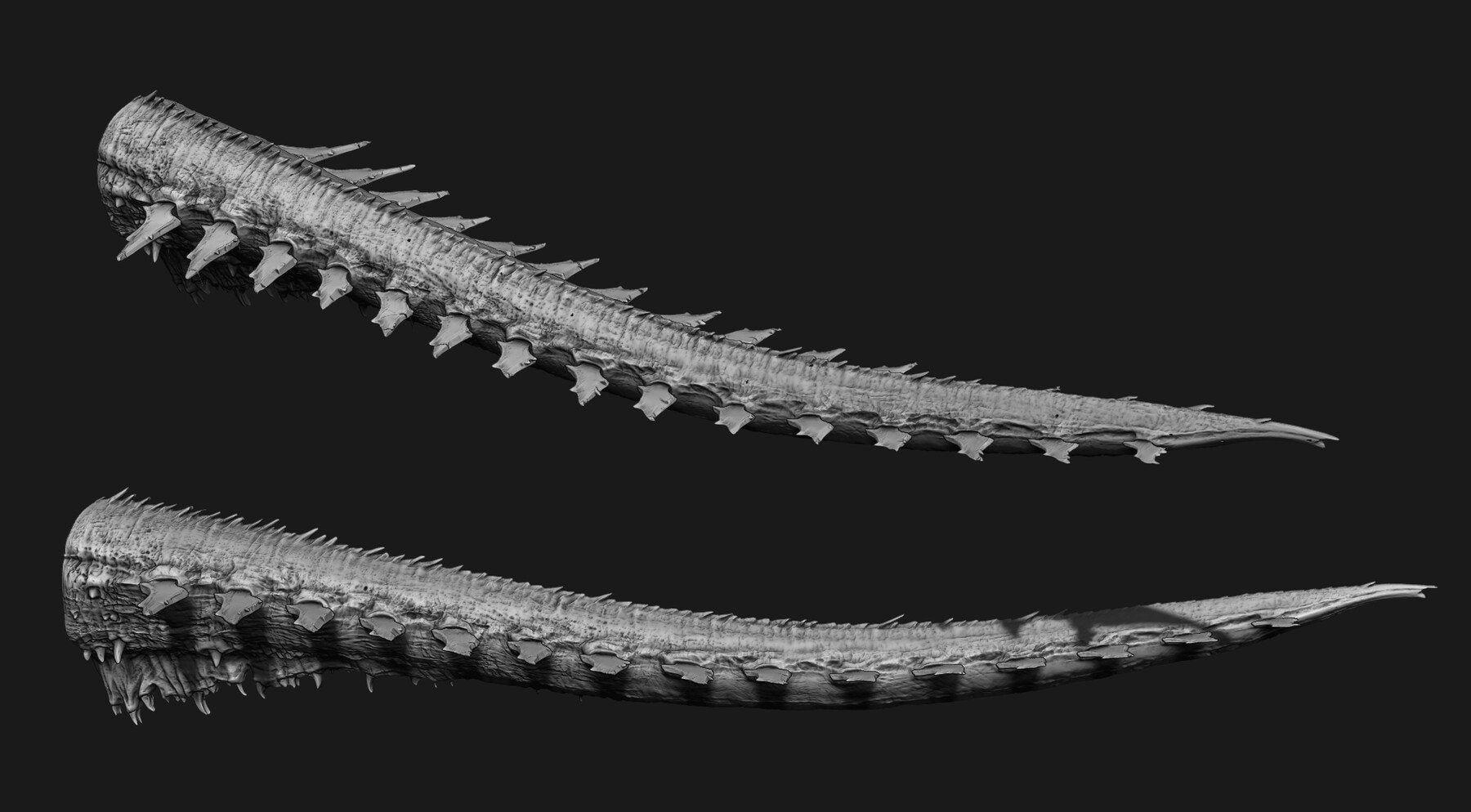 TAILS - 33 Tail Meshes & Curve Brushes