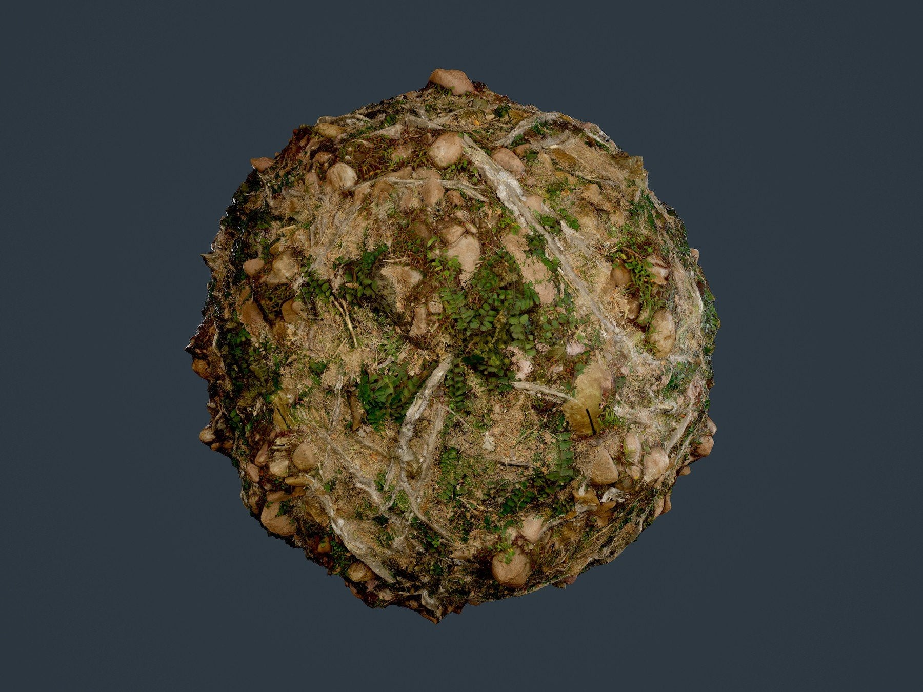 Forest Ground Tree Roots Seamless PBR Texture 06 – S3ART Store
