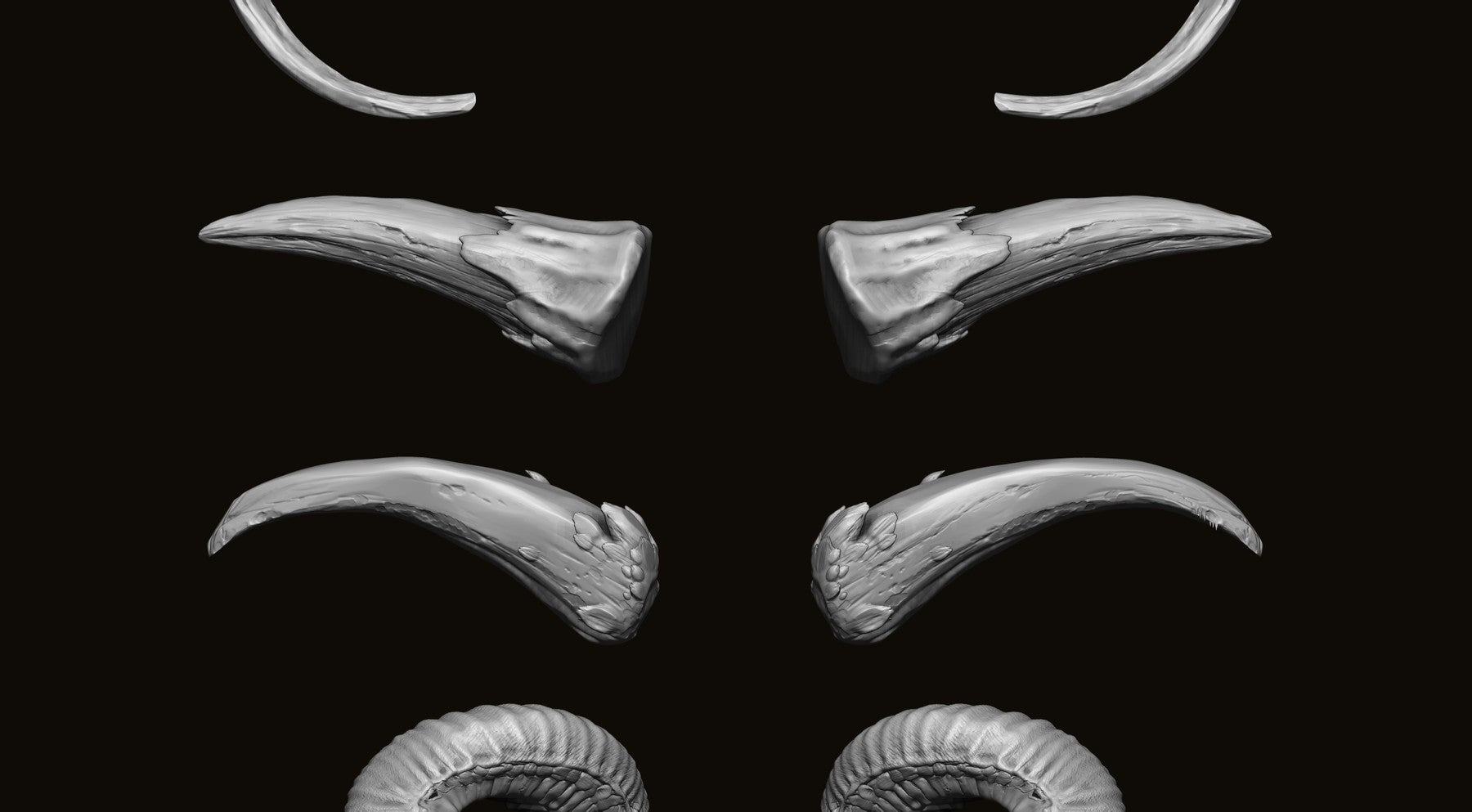 HORNS - 60 Horns, Antlers, Frills & Horn Sockets IMM + VDM