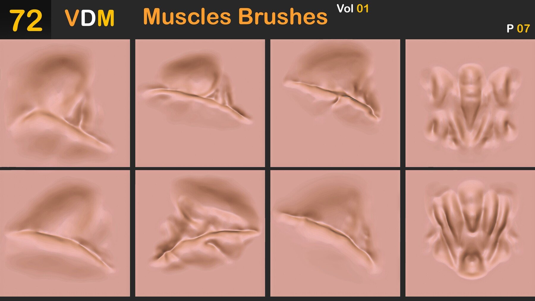 Muscles Brushes ( VDM ) Vol 01