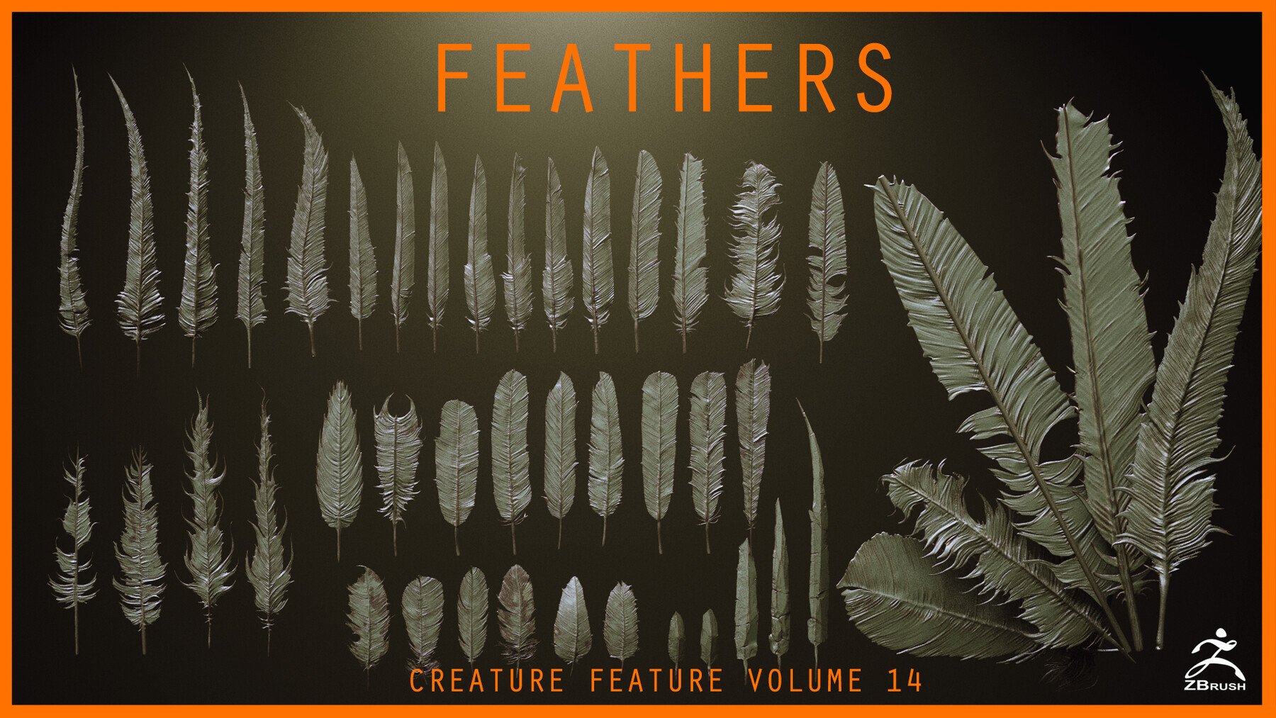 FEATHERS - 40 High poly sculpts and IMM Brush