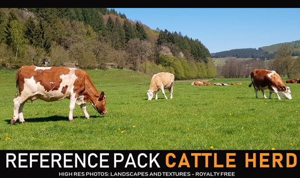 Cattle Herd - 280+ Reference pictures