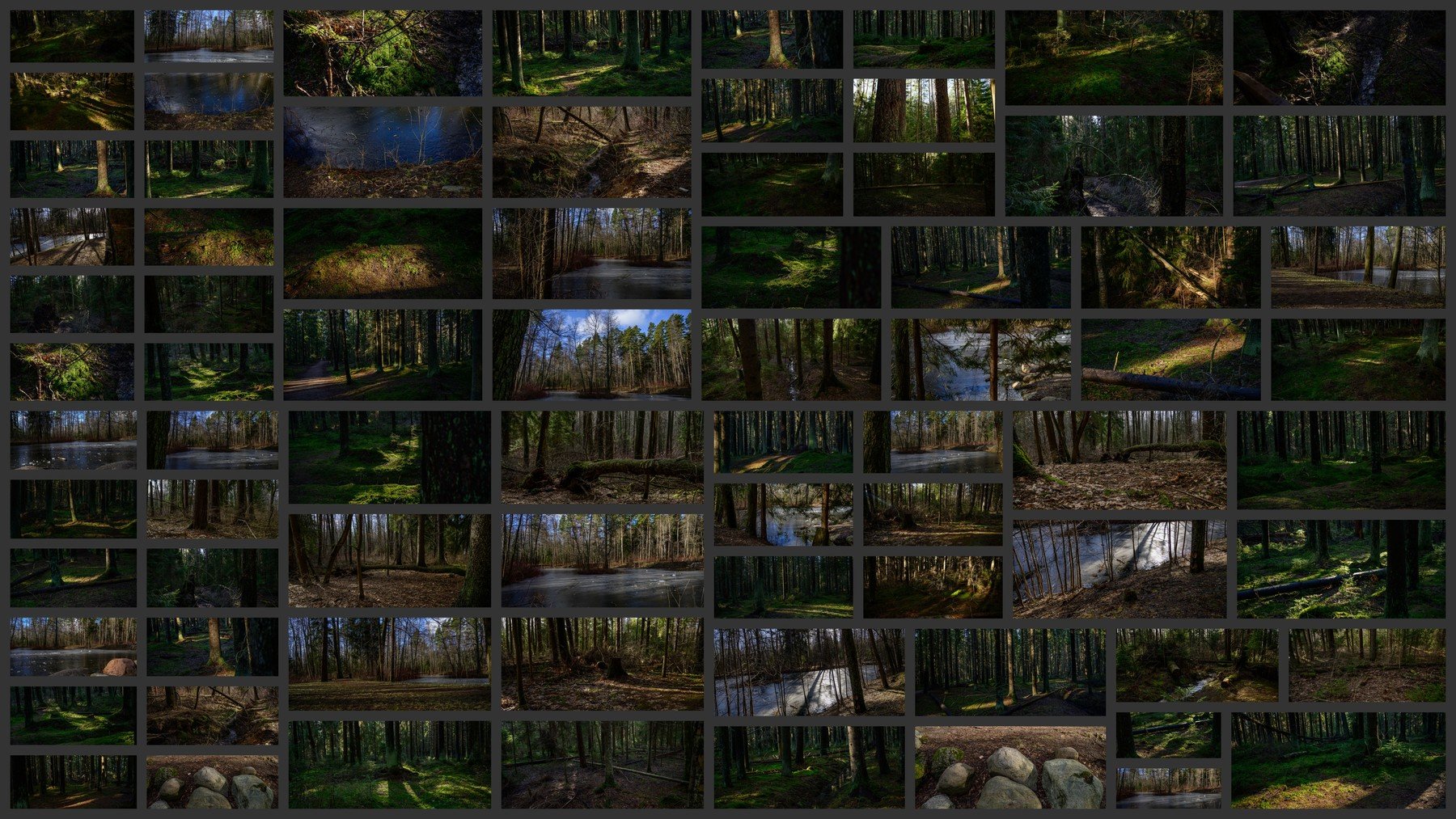 Forest, Environment Pack