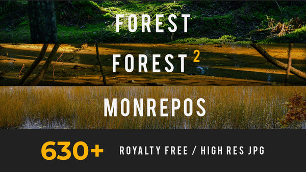 Forest, Mega Photo Pack