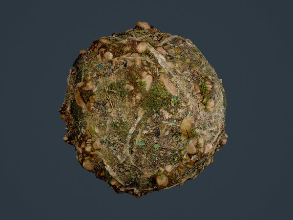 Forest Ground Tree Roots Seamless PBR Texture 07