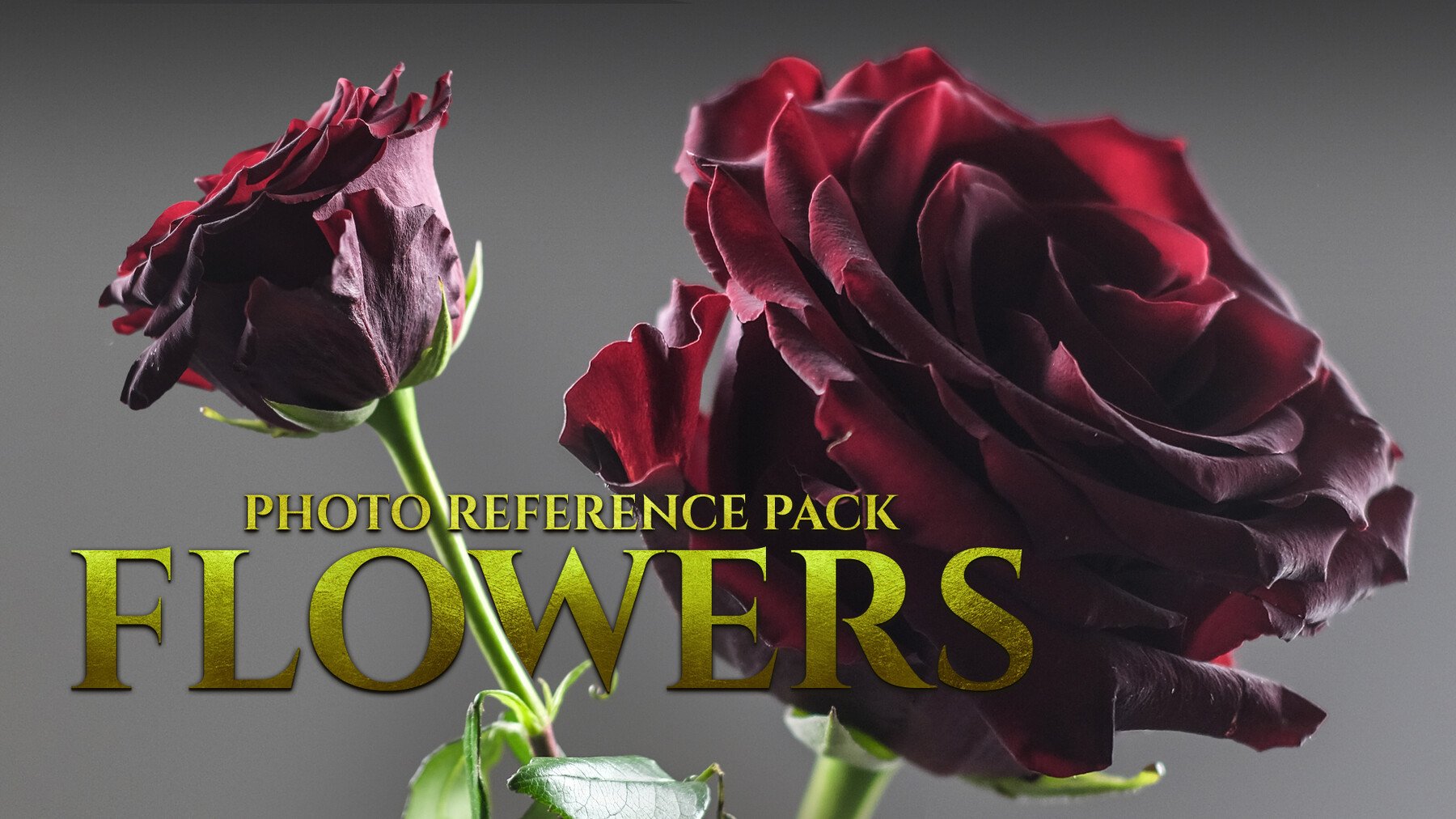 (A) Flowers - Reference Photo Pack For Artists 1270 JPEGs