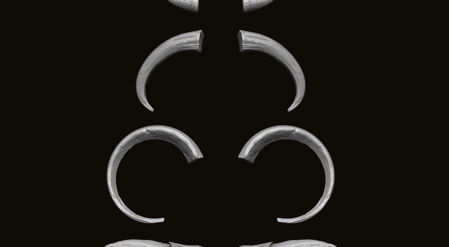 HORNS - 60 Horns, Antlers, Frills & Horn Sockets IMM + VDM