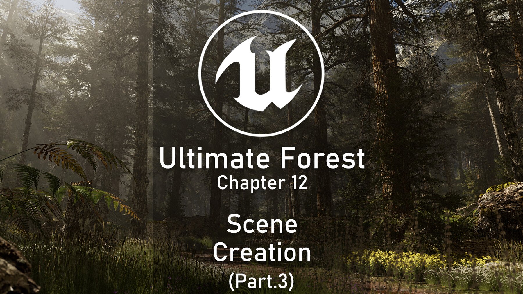 Unreal Complete Scene - Forest Environment