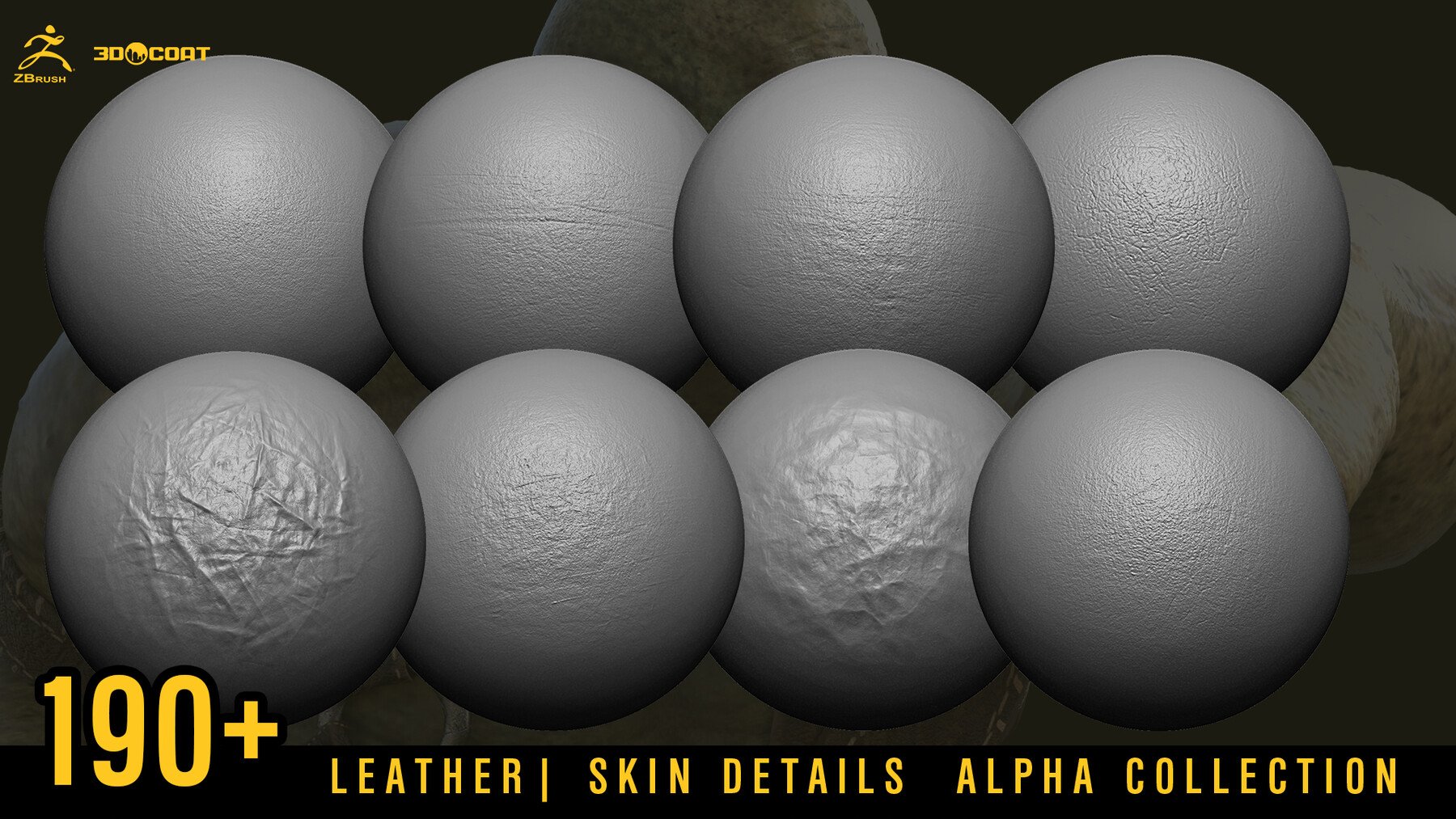 SKIN DETAILS ALPHA COLLECTION [DEMO TUTORIAL]