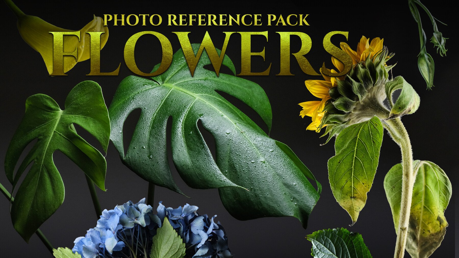 (A) Flowers - Reference Photo Pack For Artists 1270 JPEGs