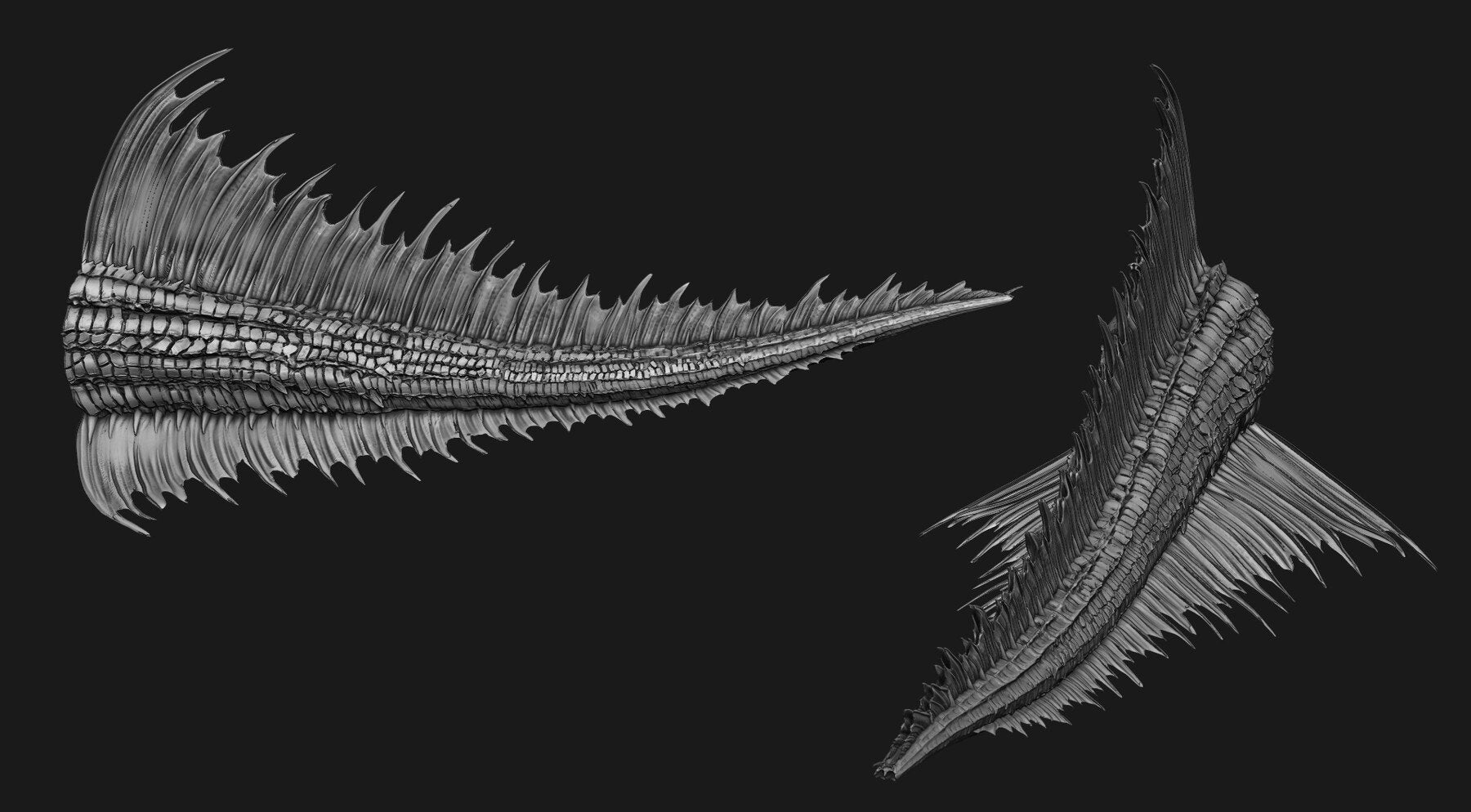 TAILS - 33 Tail Meshes & Curve Brushes