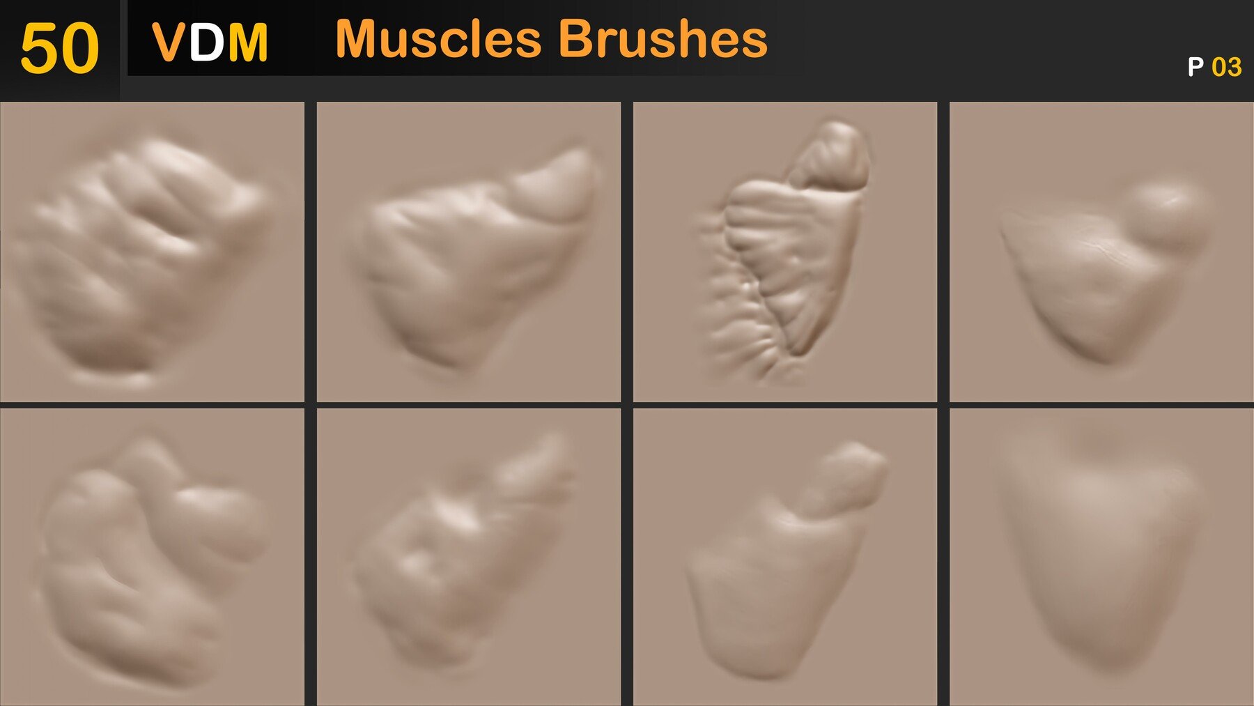 Muscles Brushes ( VDM ) Vol 02