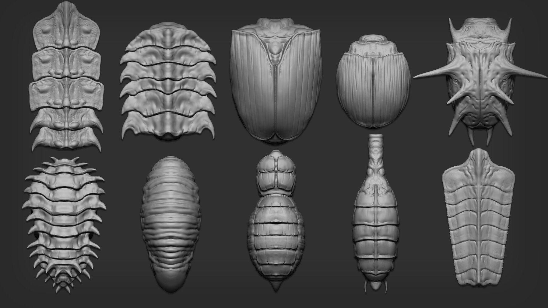 Zbrush + Blender - 80 Insectoid Creature Brush mega Pack