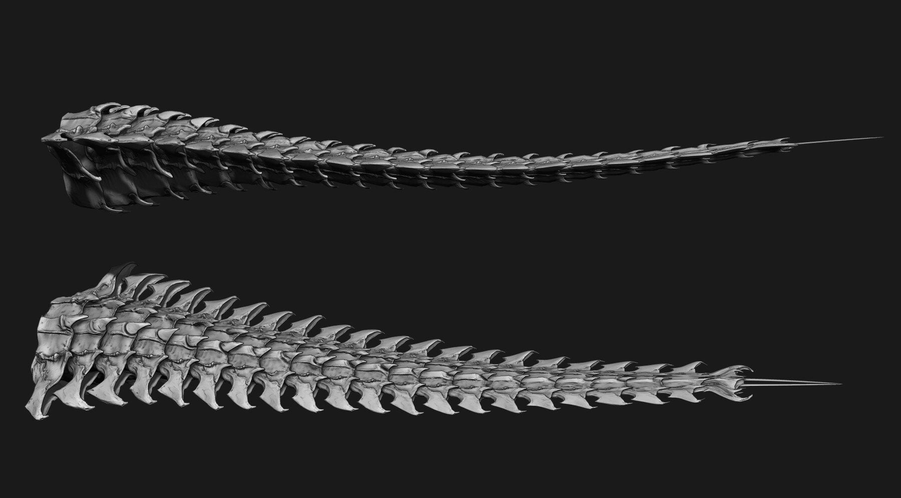 TAILS - 33 Tail Meshes & Curve Brushes