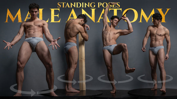850+ Male Anatomy Standing Turnaround Poses