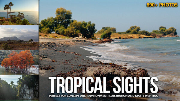 890+ Tropical Sights Reference Pictures