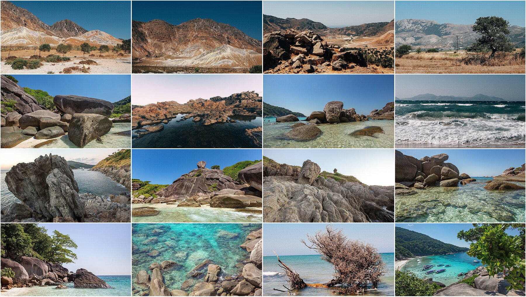 890+ Tropical Sights Reference Pictures