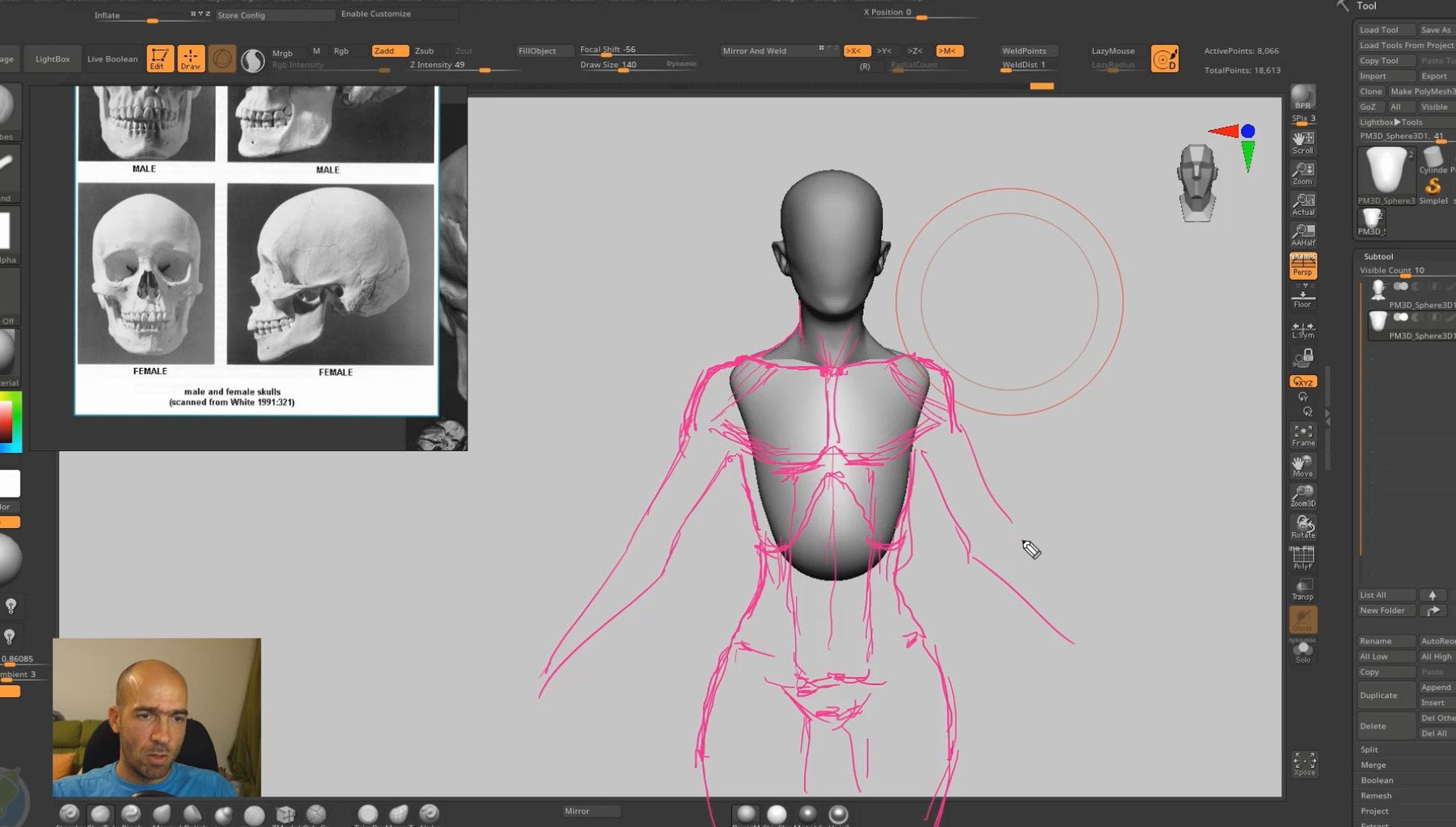 Female Anatomy Course for Artists